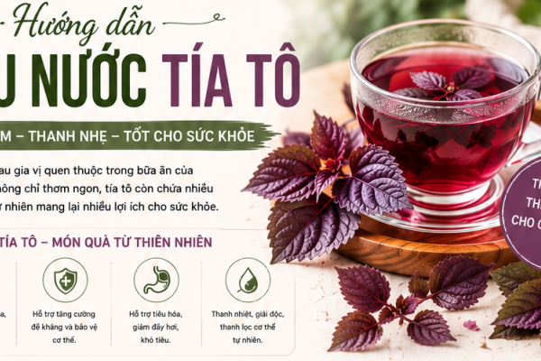 NƯỚC TÍA TÔ – LỢI ÍCH TỪ SẮC TÍA THIÊN NHIÊN